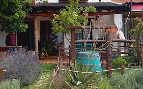 Jardines del Acebron